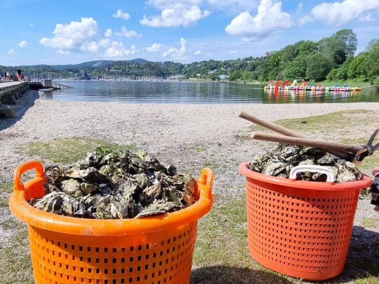 86dff940-3bb8-46eb-b72c-7abb632c1fa6-w_960