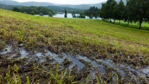 Våte jorder som følge av uvanlig mye nedbør skaper utfordringer for jordbruket