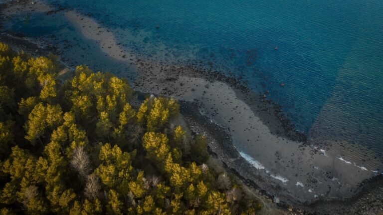 Drone,Phootage,At,A,Beach,In,Oslofjorden