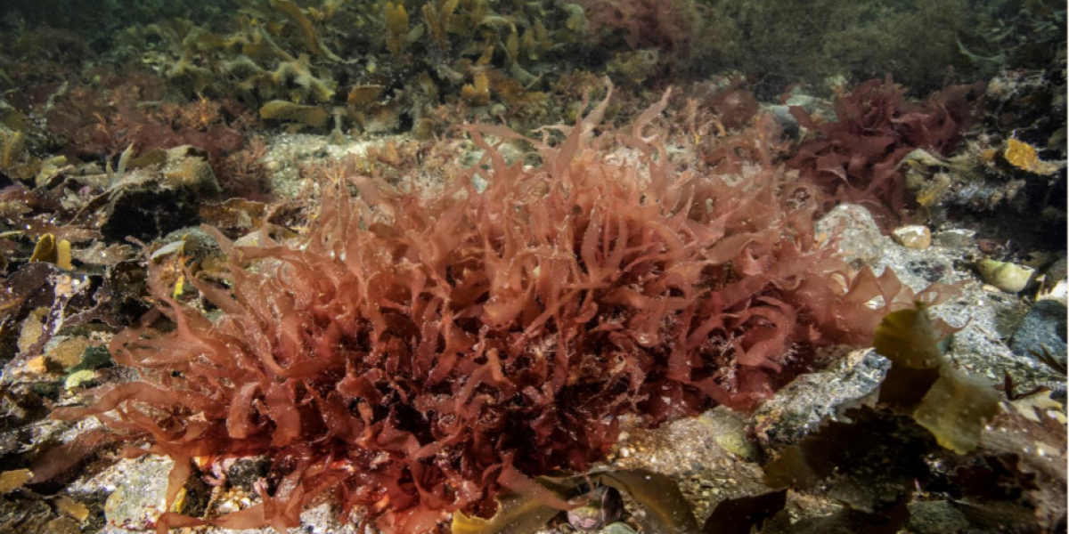 2aede191-121c-4619-bbff-d763403f2ada