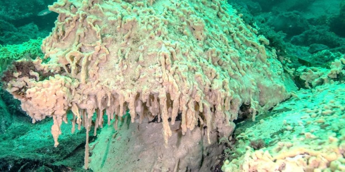 300a3c1d-e1ce-41d6-8115-0e9c389d4f6f-1000x600