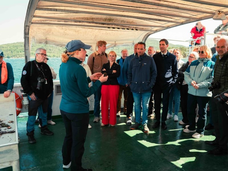 495220926_713539908290045_254674336122023117_n