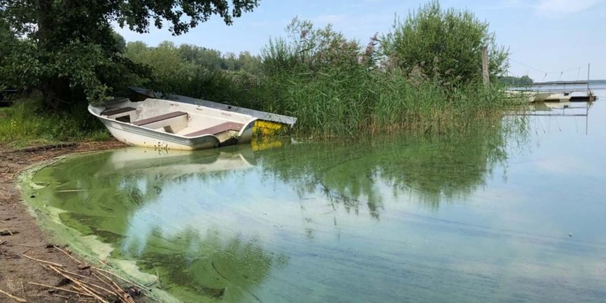 722ee72b-9203-4ec2-9267-cb8b0f8e2d9a-w_960