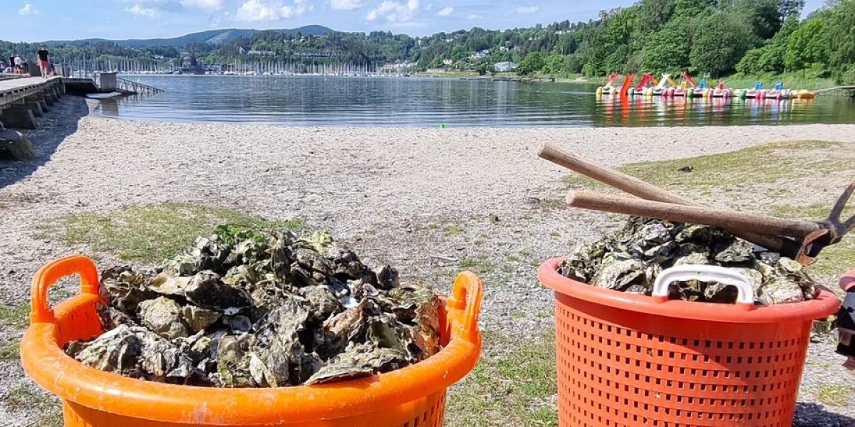 86dff940-3bb8-46eb-b72c-7abb632c1fa6-w_960