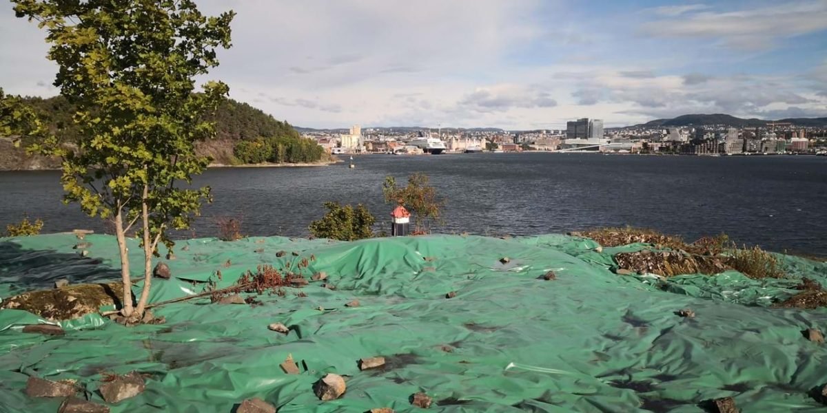 d74bc9b5-c74e-4c05-81af-59fd534c9a9a