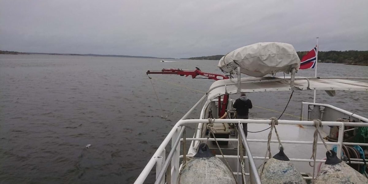 ny-vigra-kran-pulsar