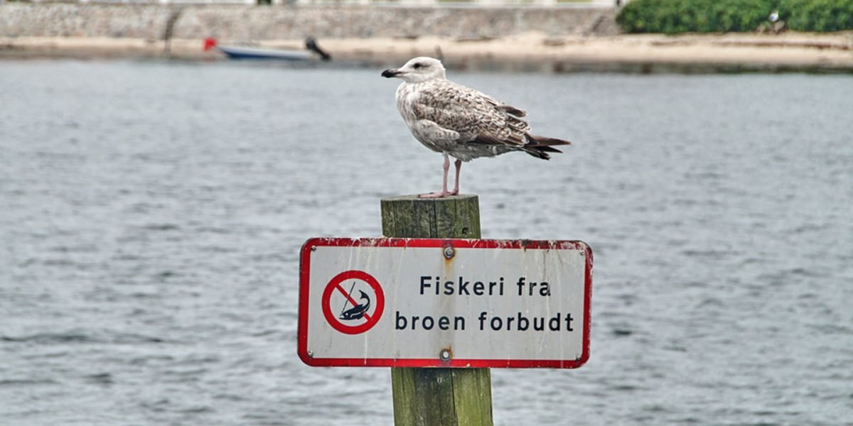 shutterstock_1983919601