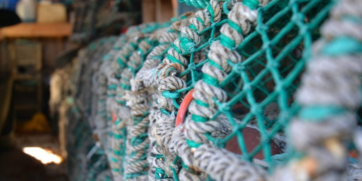 Lobster,Stones,In,The,Garage