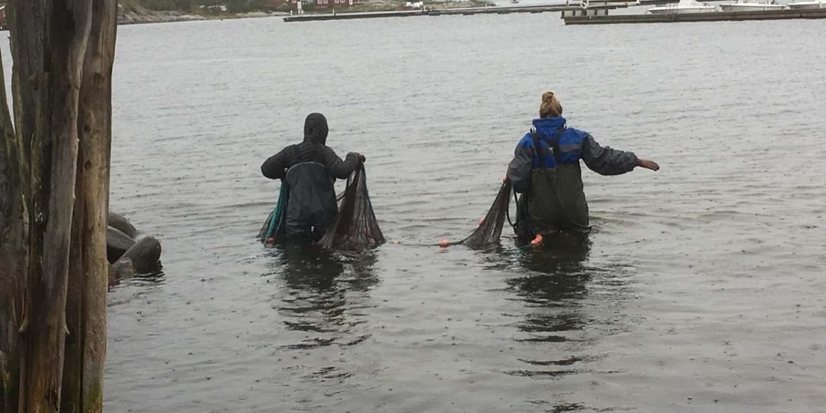 strandnot-hvaler-081019_1